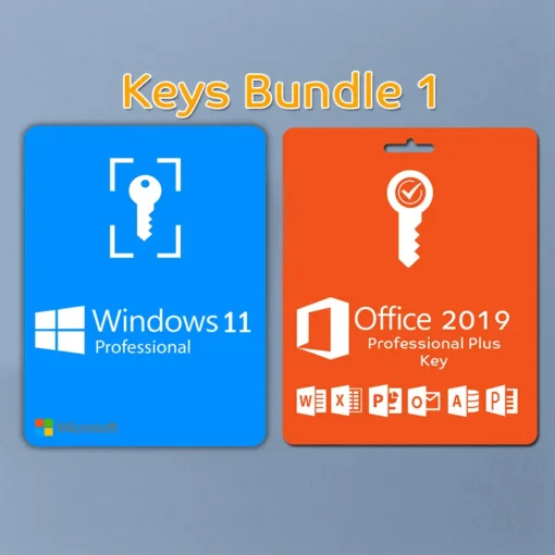Windows 11 Pro + Microsoft Office 2019 Pro Plus