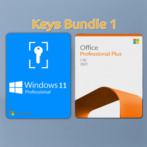 Windows 11 Pro + Microsoft Office 2021 Pro Plus